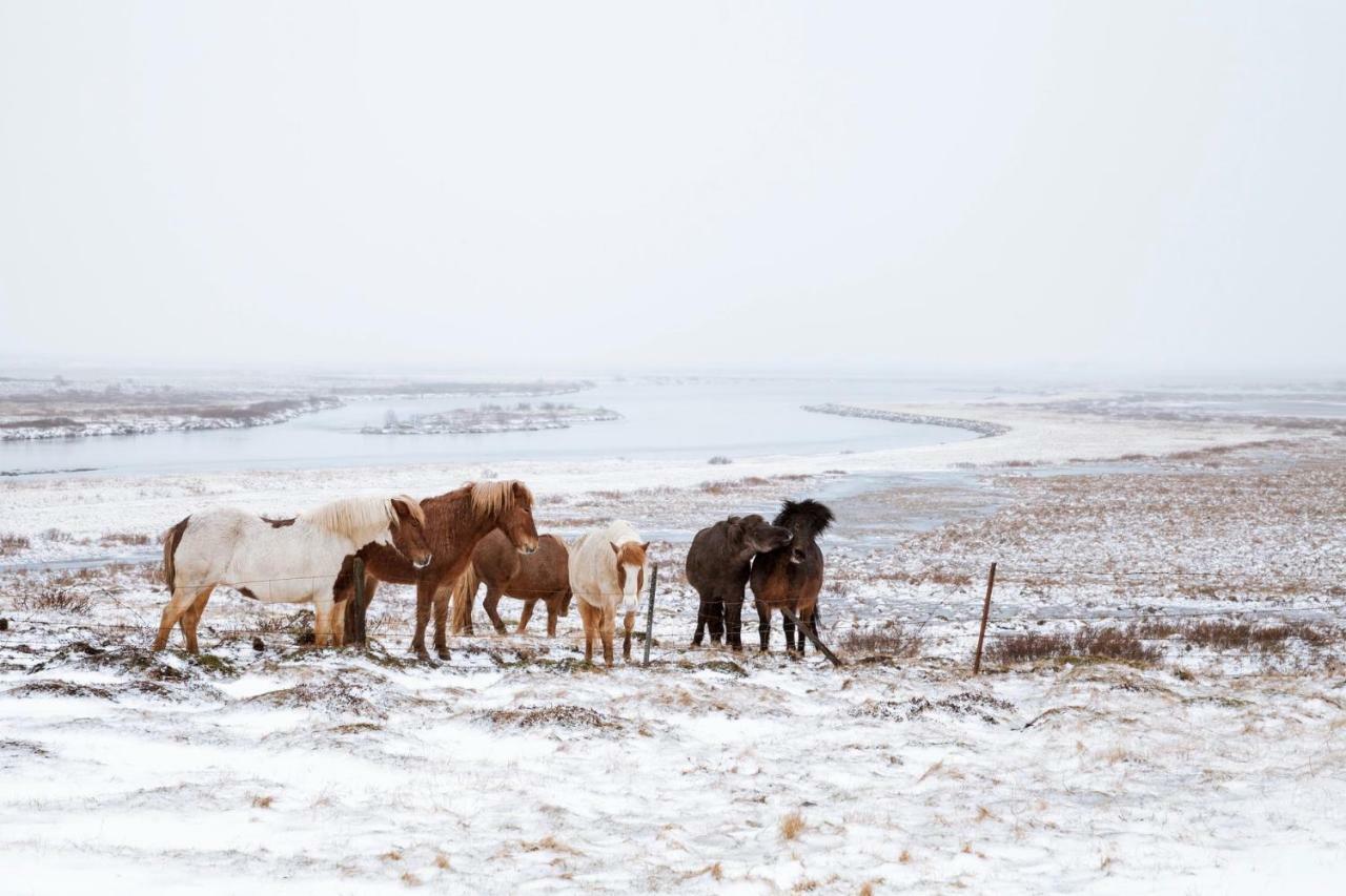 Experience Beautiful Iceland Olafsvik Bagian luar foto