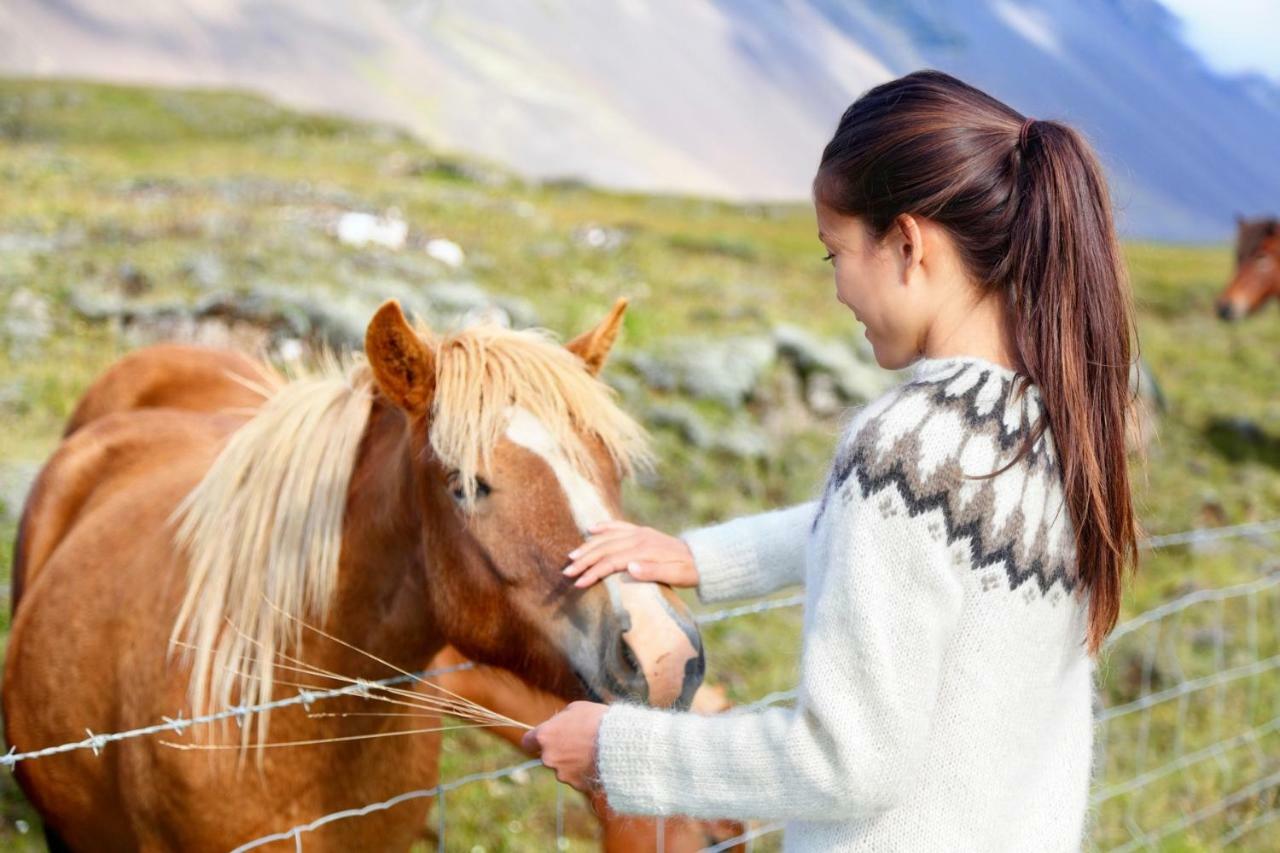 Experience Beautiful Iceland Olafsvik Bagian luar foto