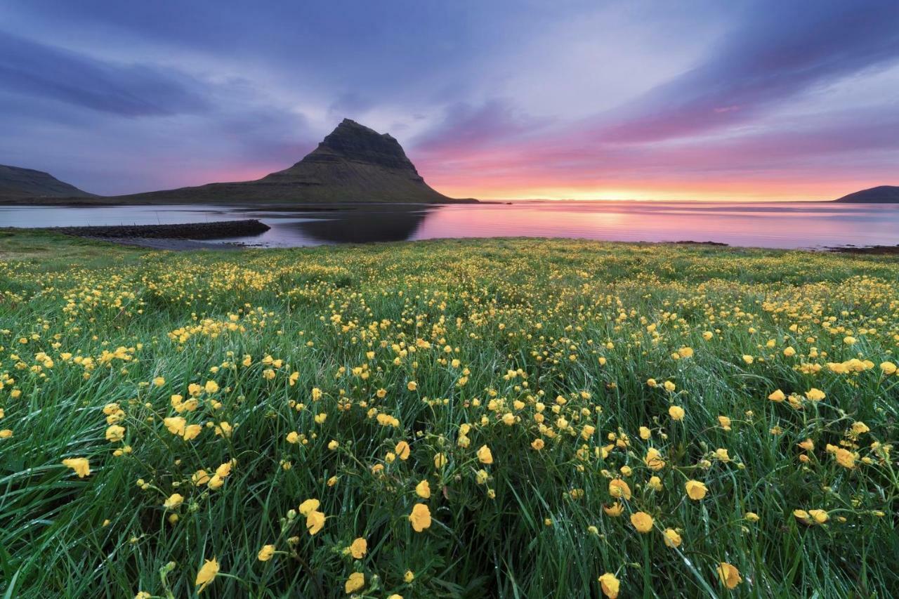 Experience Beautiful Iceland Olafsvik Bagian luar foto